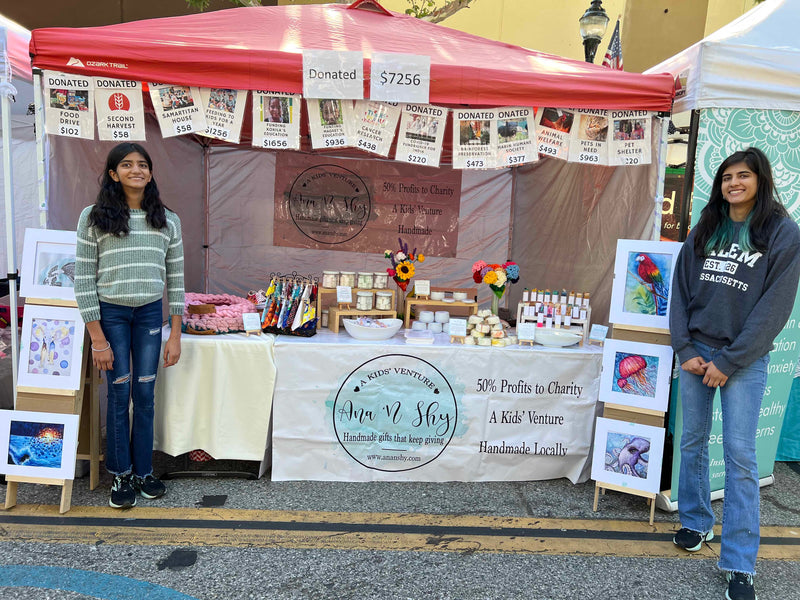 Mountain View Art & Wine Festival 2023