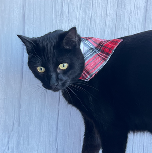 Pet Bandanas